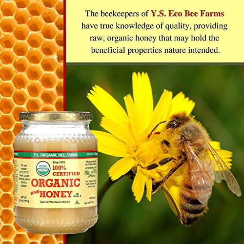 1 Lb Organic Raw Honey A363154