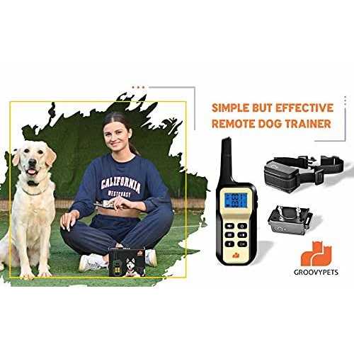 Auto Anti Bark Humane Beep P54704