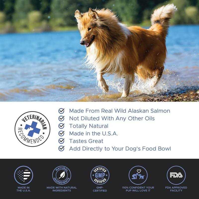 Salmon Oil for Dogs & Cats P543989