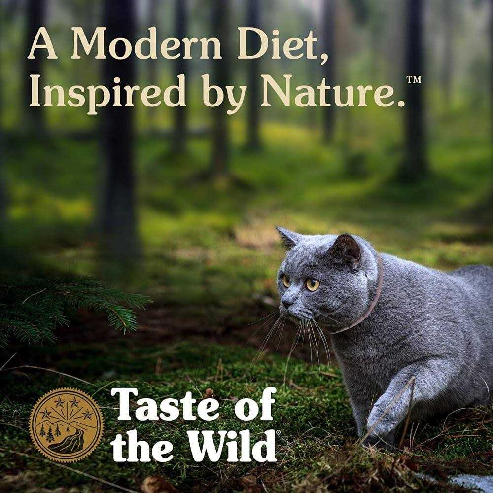 Cat Food K77848
