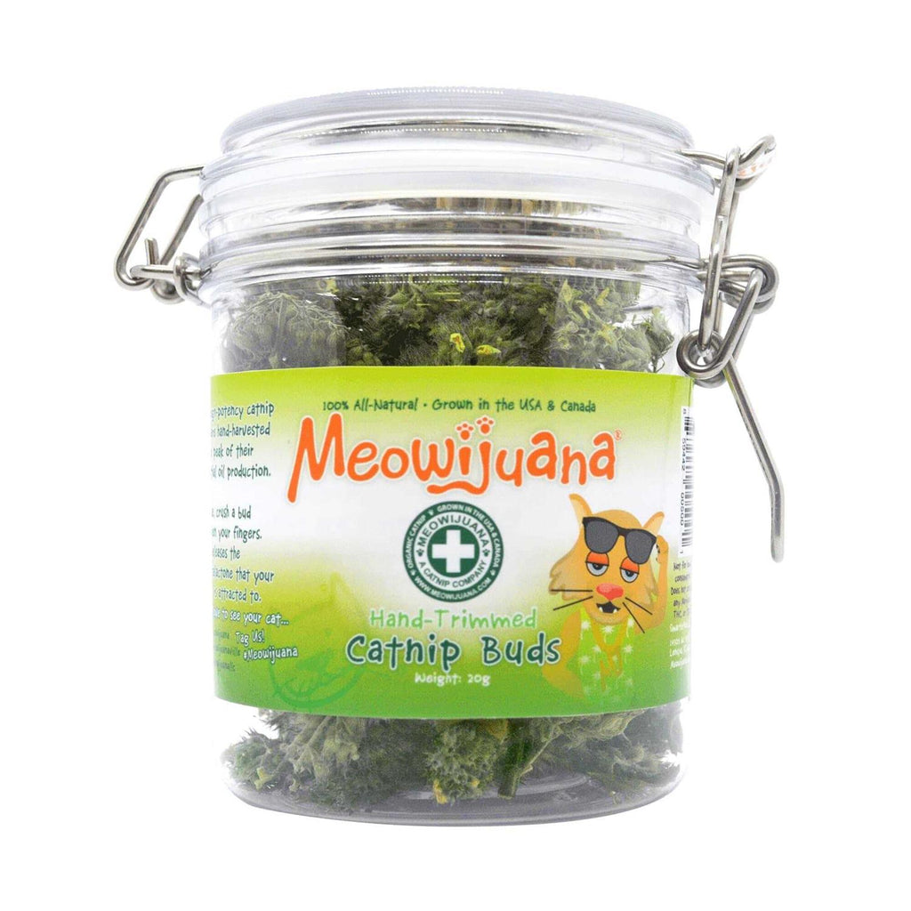 Catnip Buds U8874