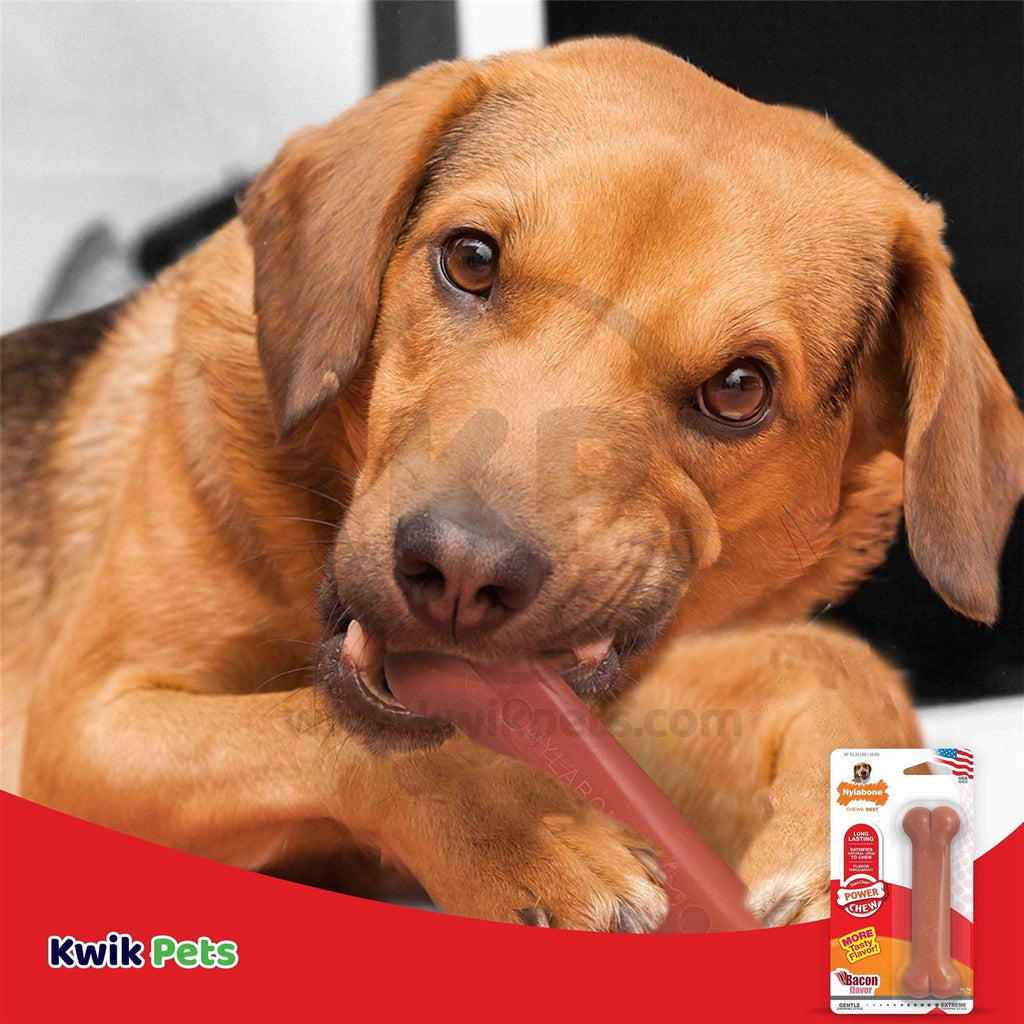 Bacon Chew Bone F21283