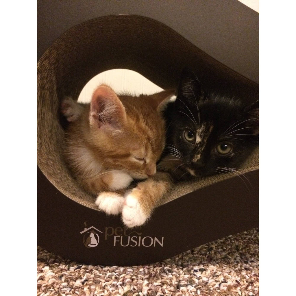 Cat Scratcher Lounge F87912