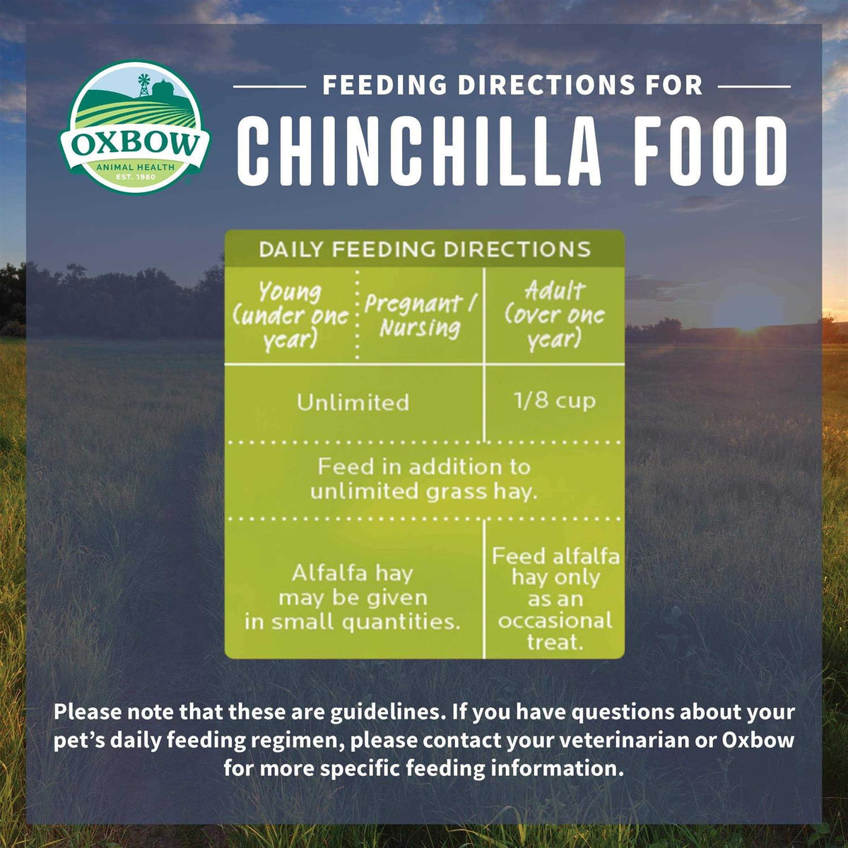 Chinchilla Food Q38046