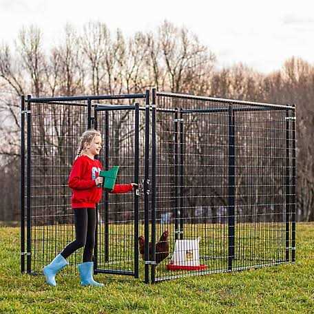 Blue Dog Kennel Gate D23231