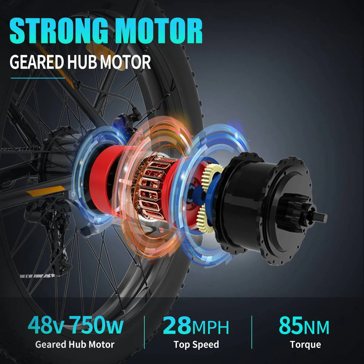 750W 48V 15Ah Fat Tire Electric Mountain Bike A8919
