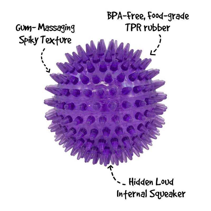 Squeaker Ball Dog Toy B986246