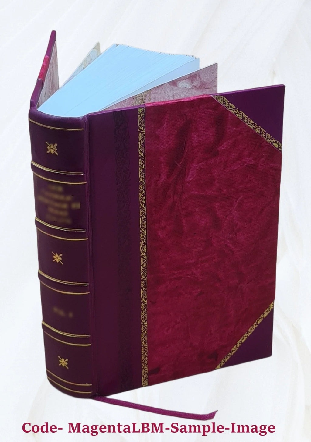 Maladies de l'encéphale Leather Bound Y7015