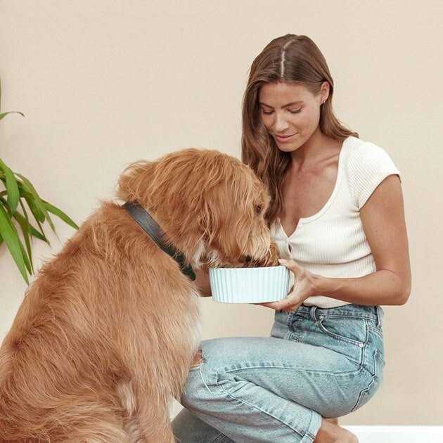 Sweet Potato & Carrot Dry Dog Food S3183