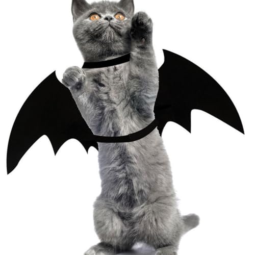 Halloween Pet Costume for Small Dogs & Cats, Lightweight Felt & Polyester, XL F651815