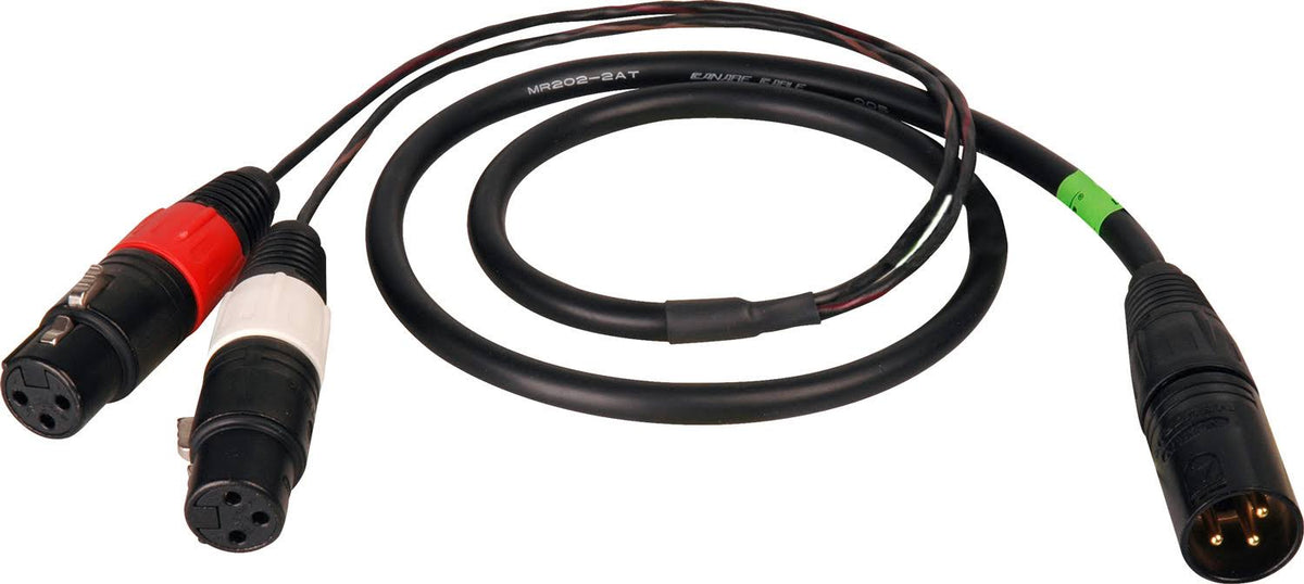 XLR Male to 2 XLR Female 10ft Y-Cable W5507