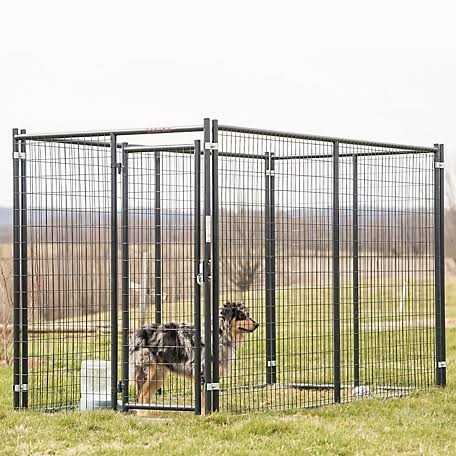 Blue Dog Kennel Gate D23231