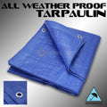 Blue Poly Tarp 10' x 20' Protective Cover Z507071