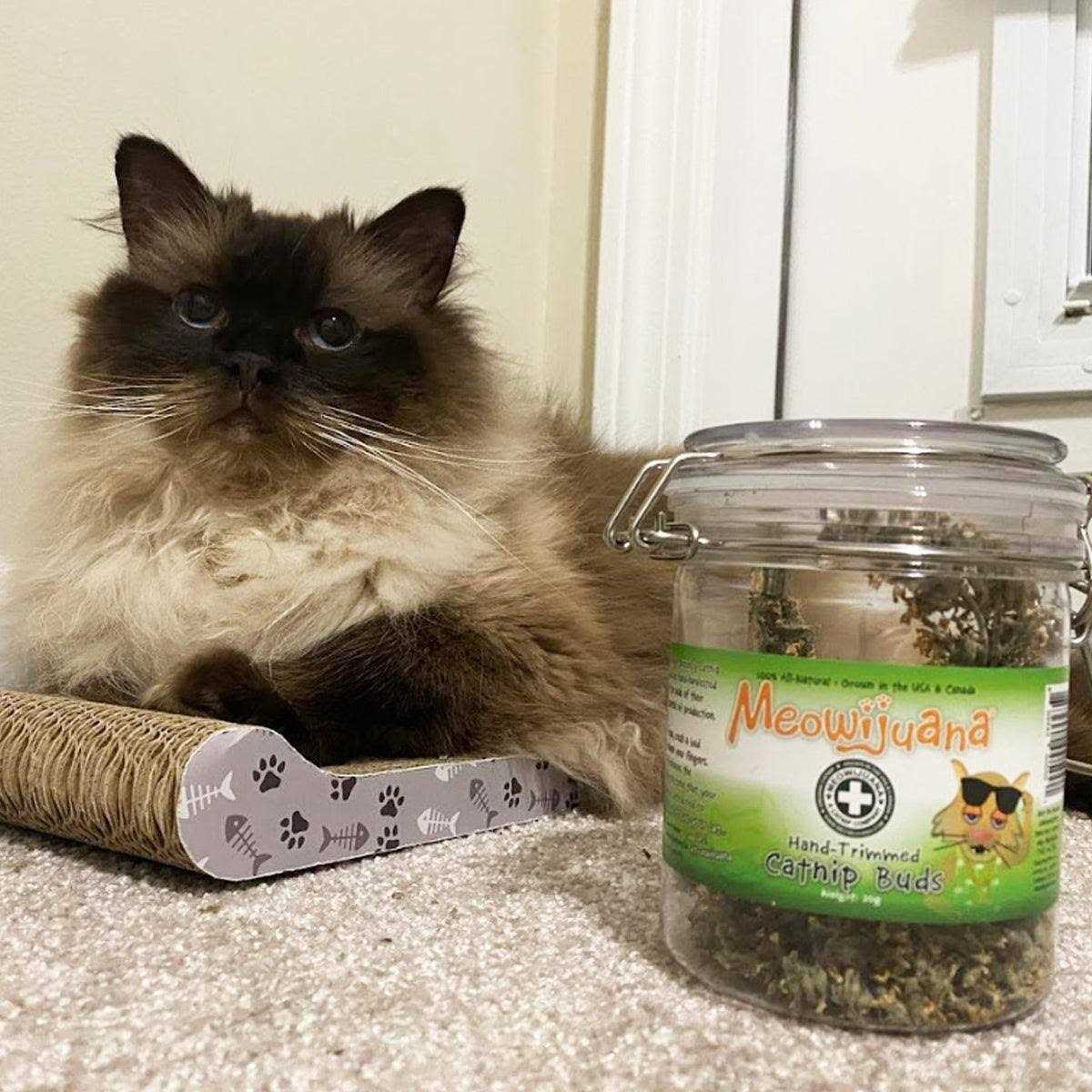 Catnip Buds U8874