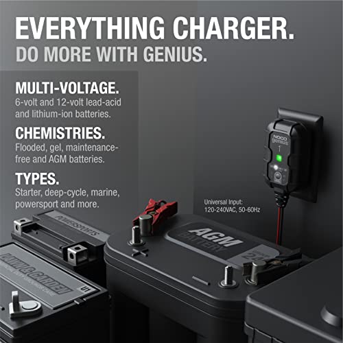 1A 6V and 12V Smart Car Battery Charger I998349