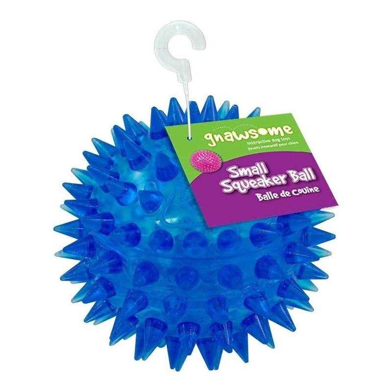 Squeaker Ball Dog Toy B986246