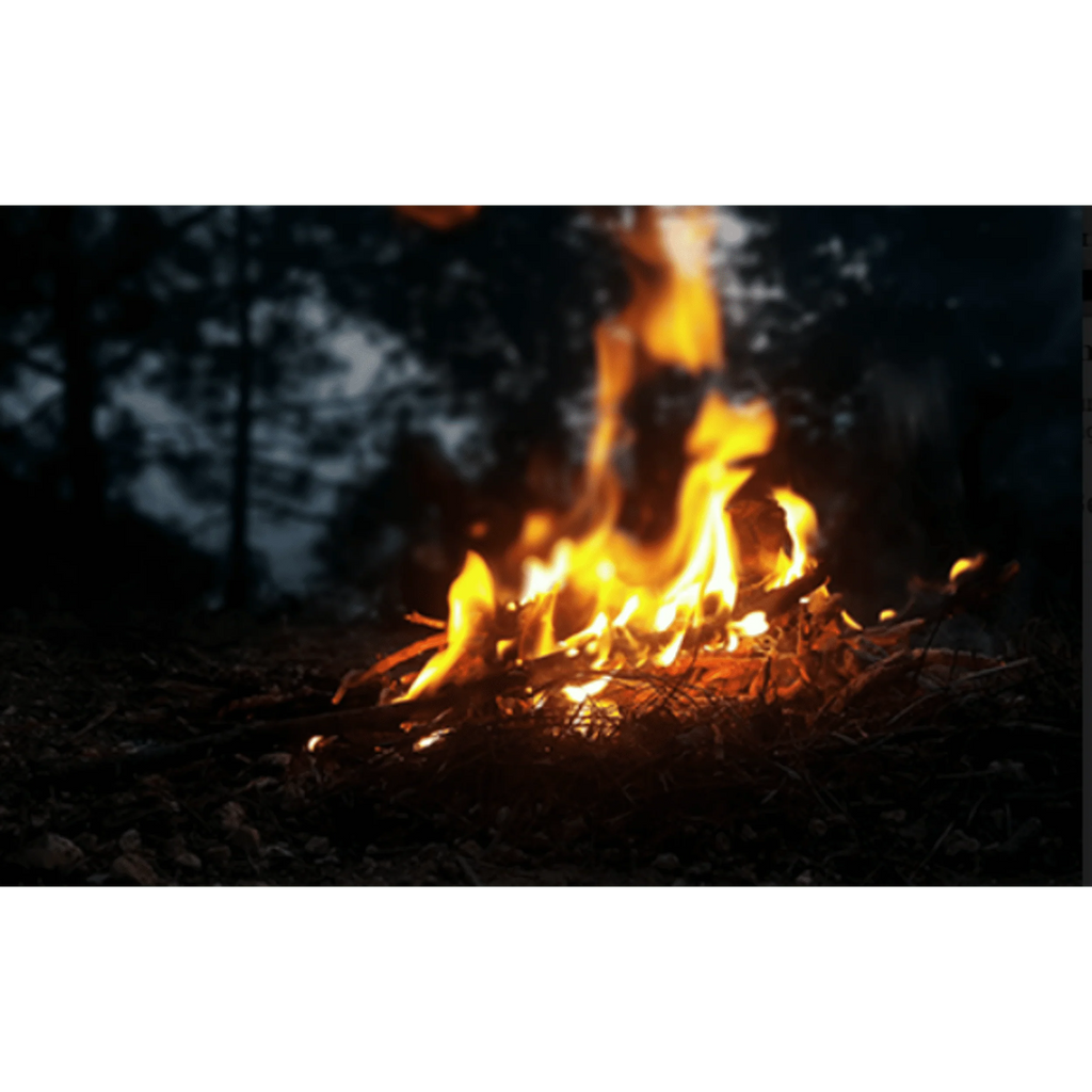 48 Ct Fire Starters P2667