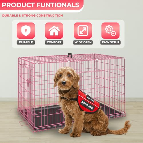 Black 48 Inch Folding Metal Dog Crate with Divider Panel K631