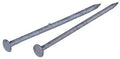 3.5 in. 16d Galvanized Common Nail 50 lbs V383