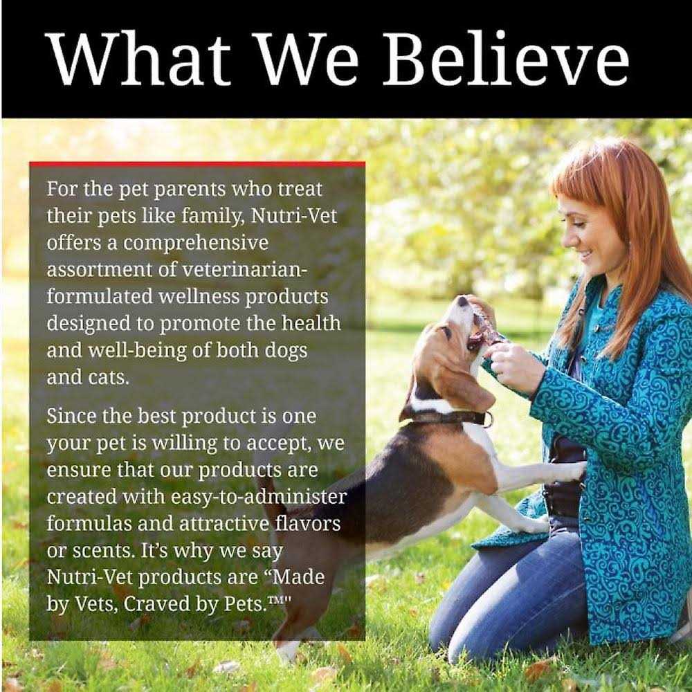 Pumpkin Dog Supplement L3244