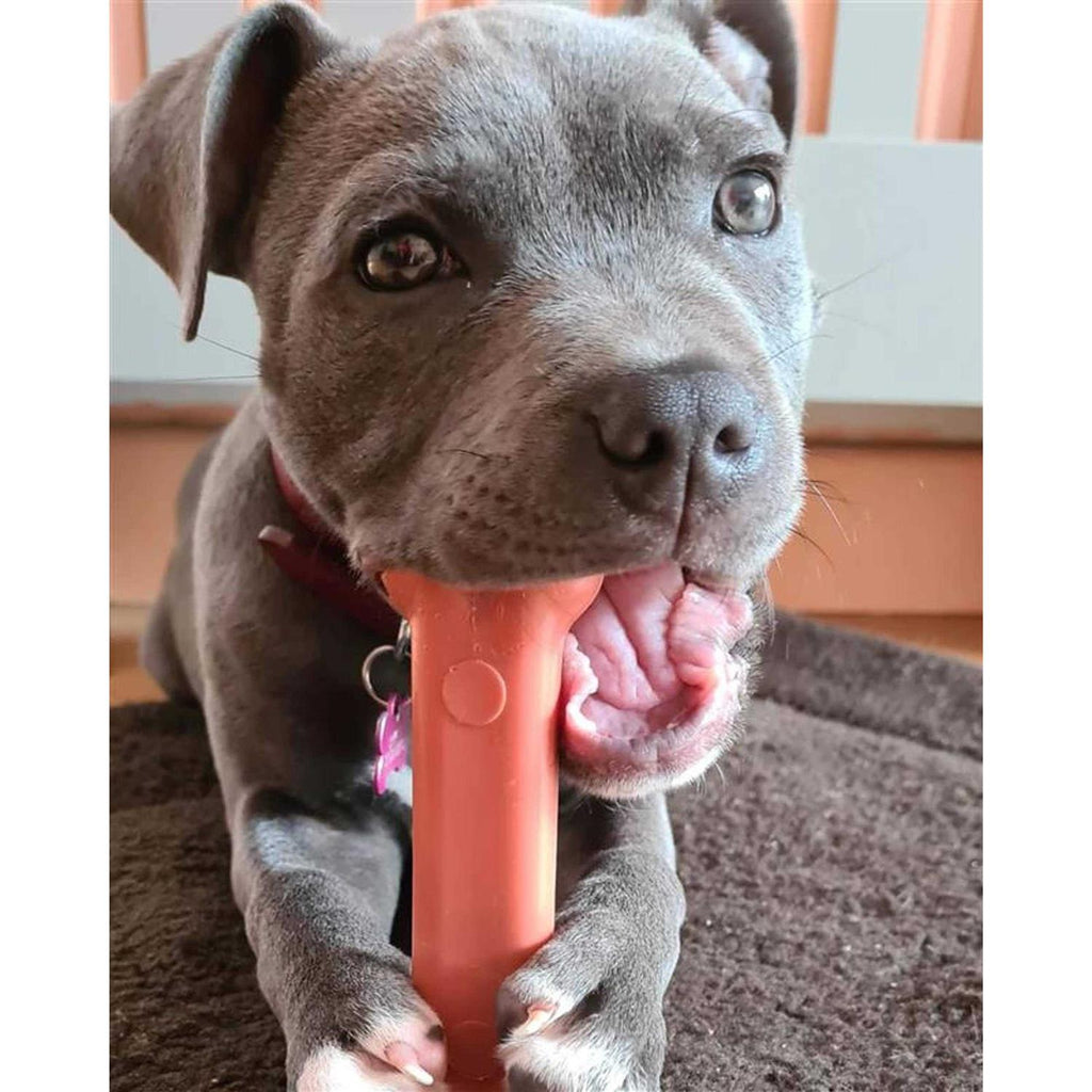 Bacon Chew Bone F21283