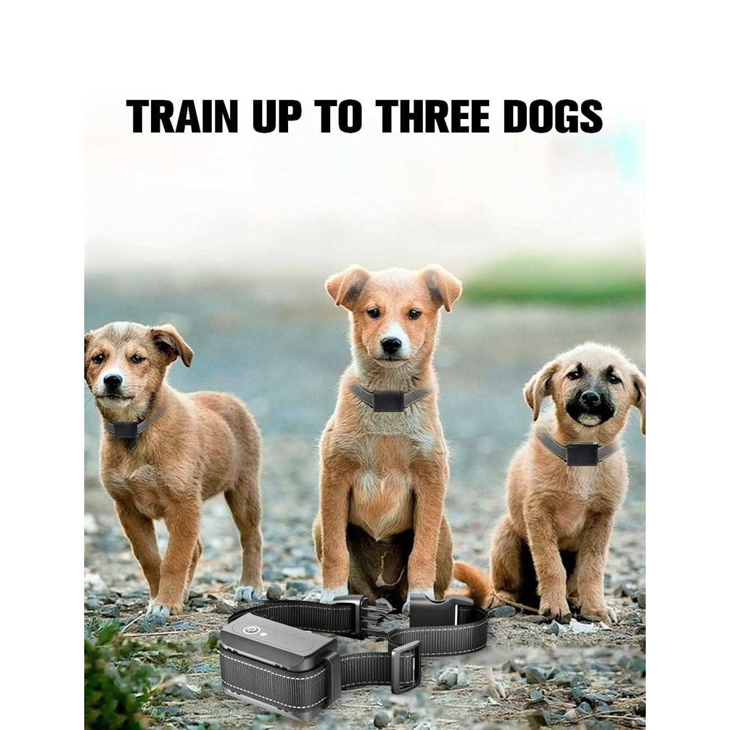 Auto Anti Bark Humane Beep P54704