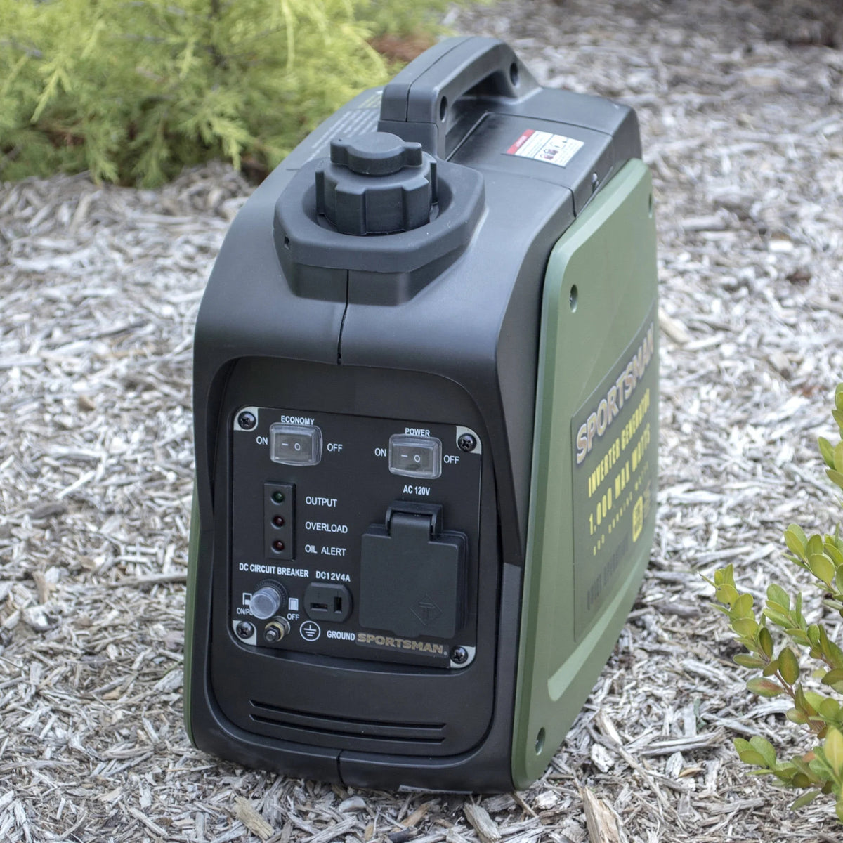 1000 Watt Inverter Generator Y901