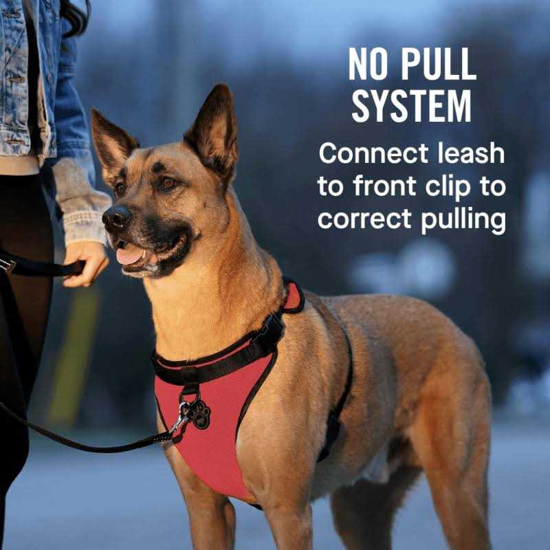 Dog Harness R11434