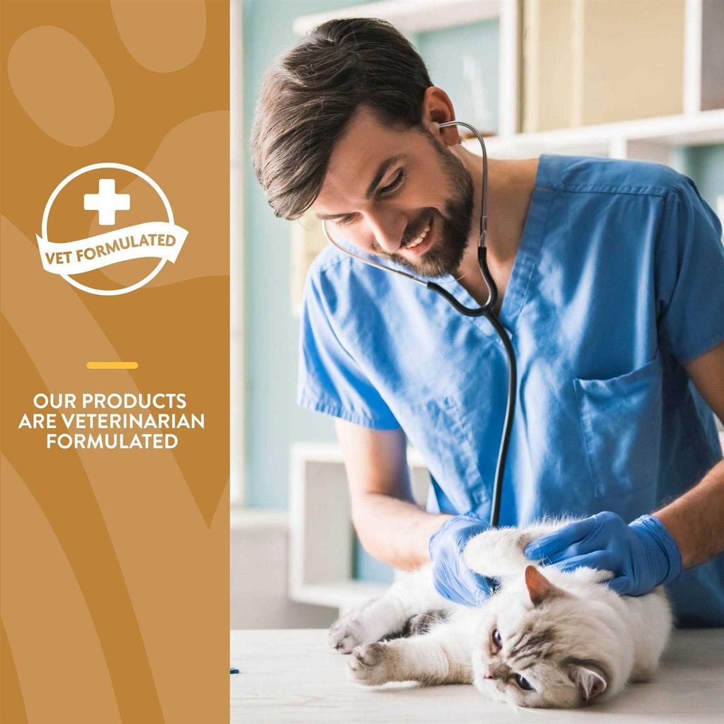 Skin & Coat Plus Omegas for Cats W1945