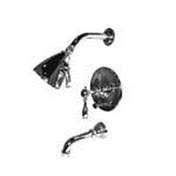 Polished Brass Tub and Shower Trim Set L67985