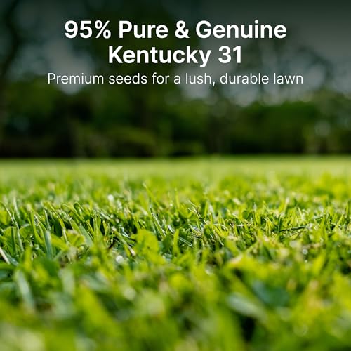 Tall Fescue Grass Seed, 5 lbs C6486
