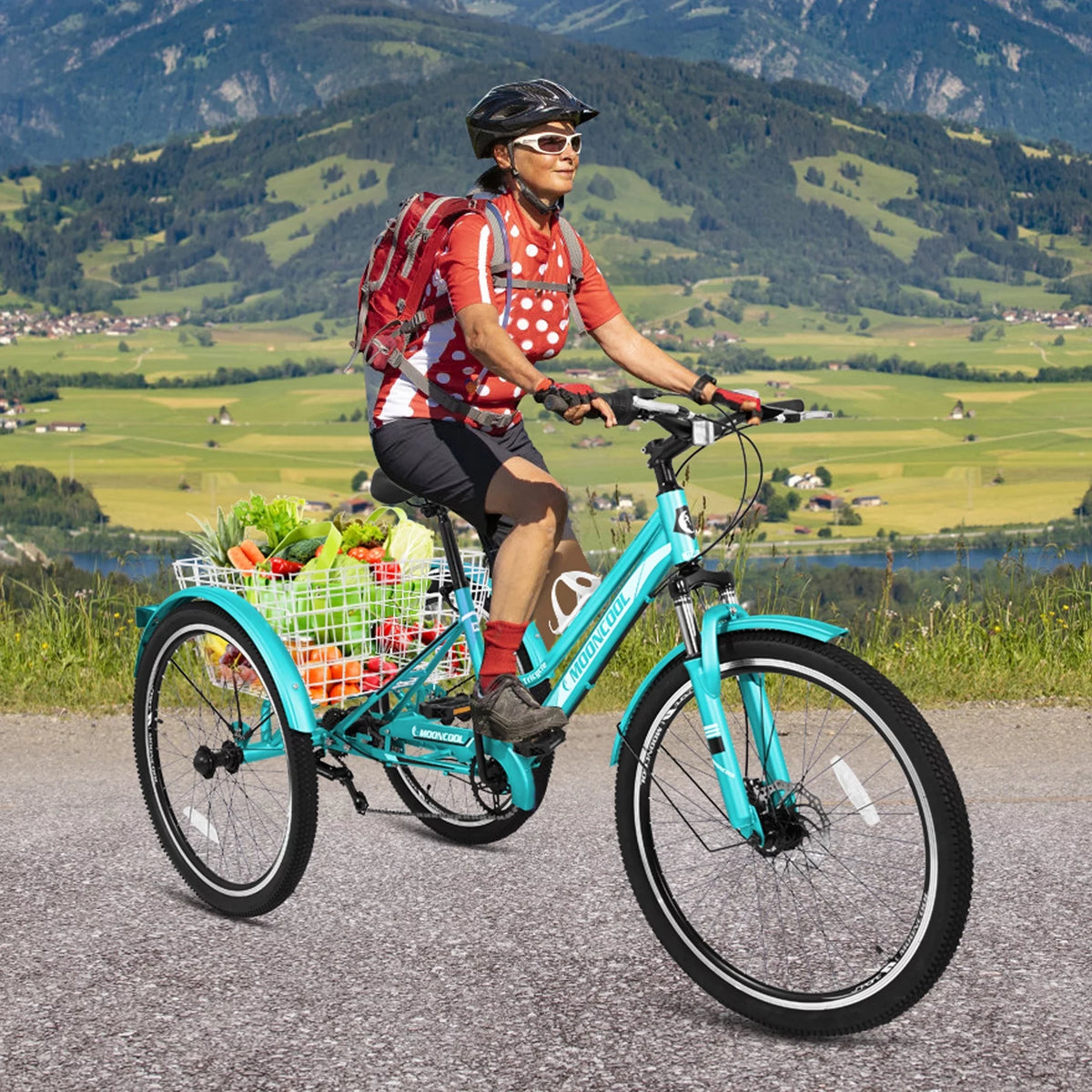 24/26/27.5 Inch 7 Speed Three Wheel Bike with Cargo Basket E815