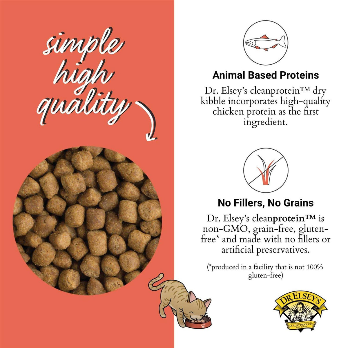 Salmon Dry Cat Food X8976