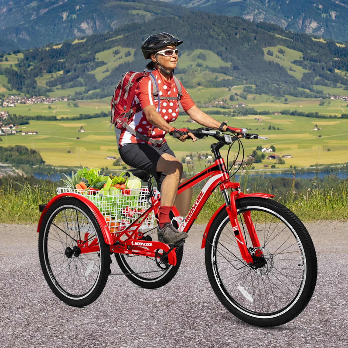 24/26/27.5 Inch 7 Speed Three Wheel Bike with Cargo Basket E815