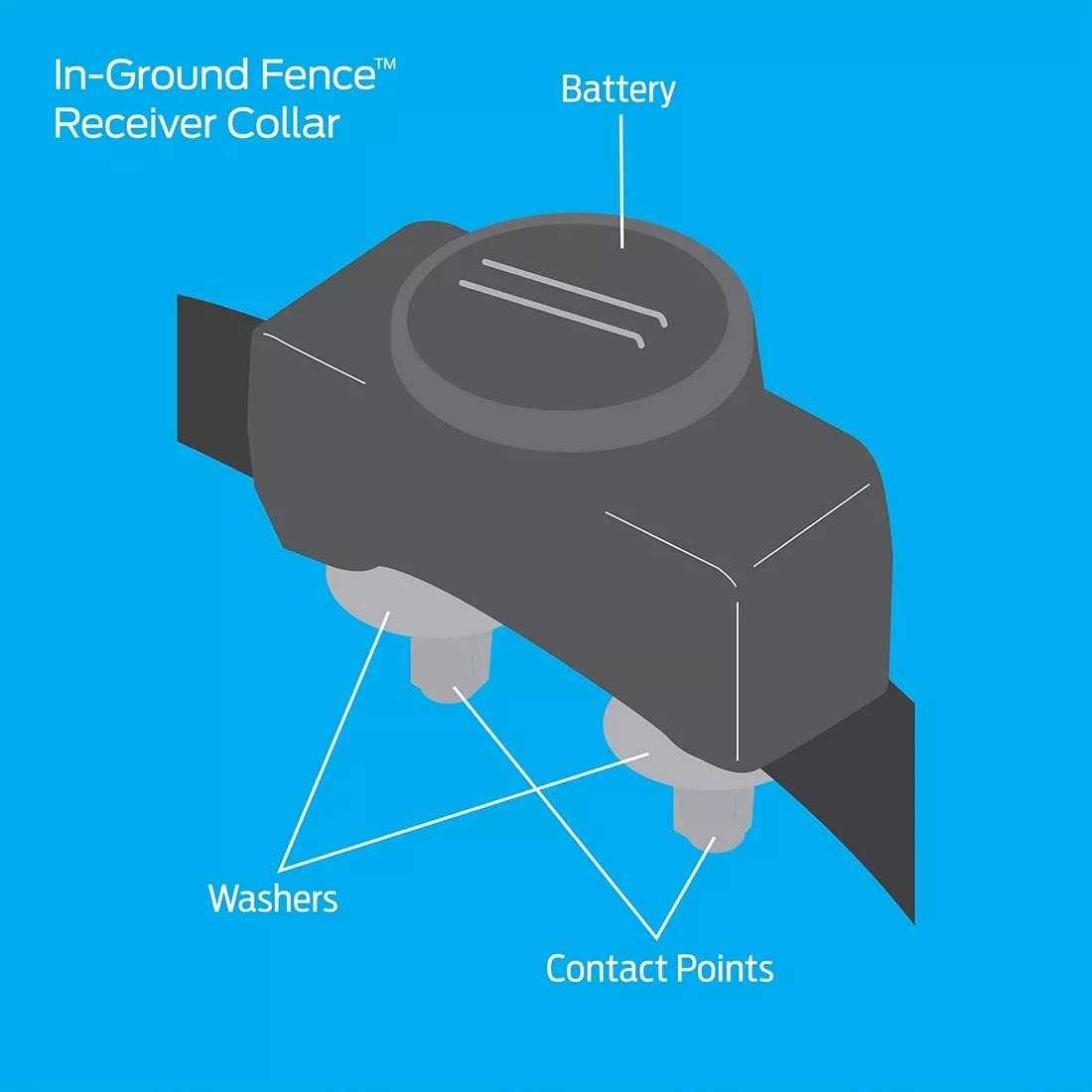 In-Ground Fence Add-A-Dog Collar N74320