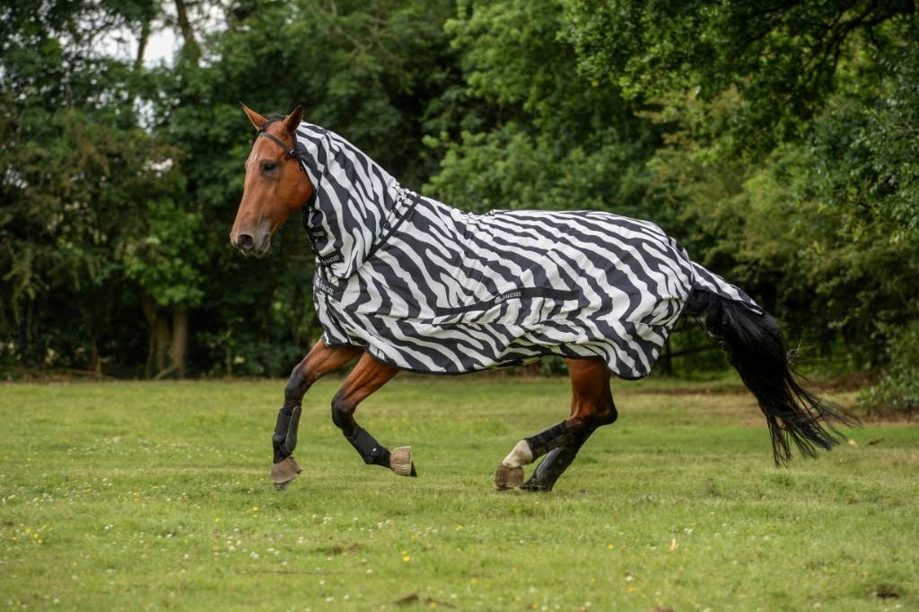 Zebra Sweet Itch U88892