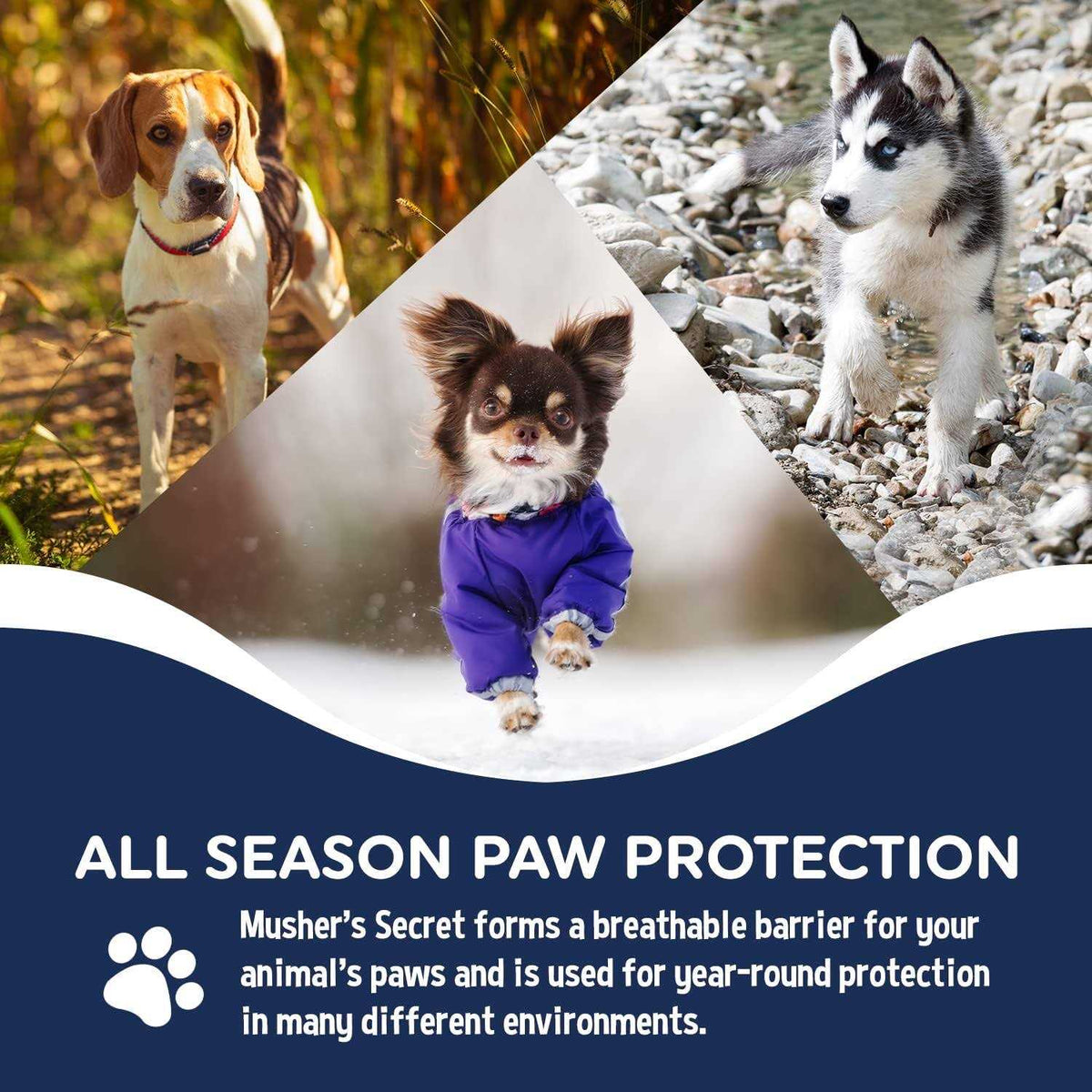 Pet Paw Protection Wax X58989