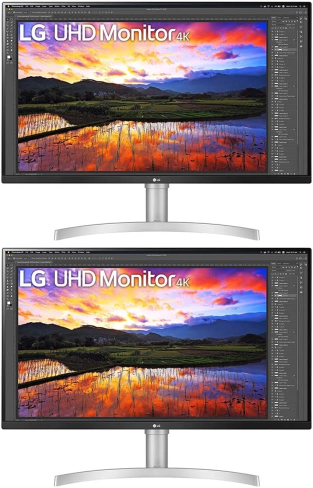 32 inch UHD 3840x2160 IPS Monitor with HDR10 FreeSync 2 Pack S231
