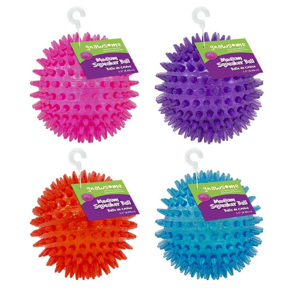 Squeaker Ball Dog Toy B986246