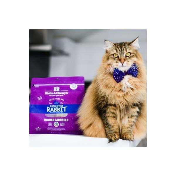 Freeze-Dried Cat Dinner E3318