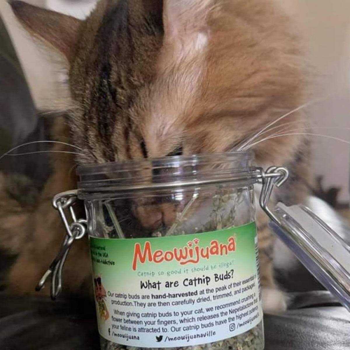 Catnip Buds U8874