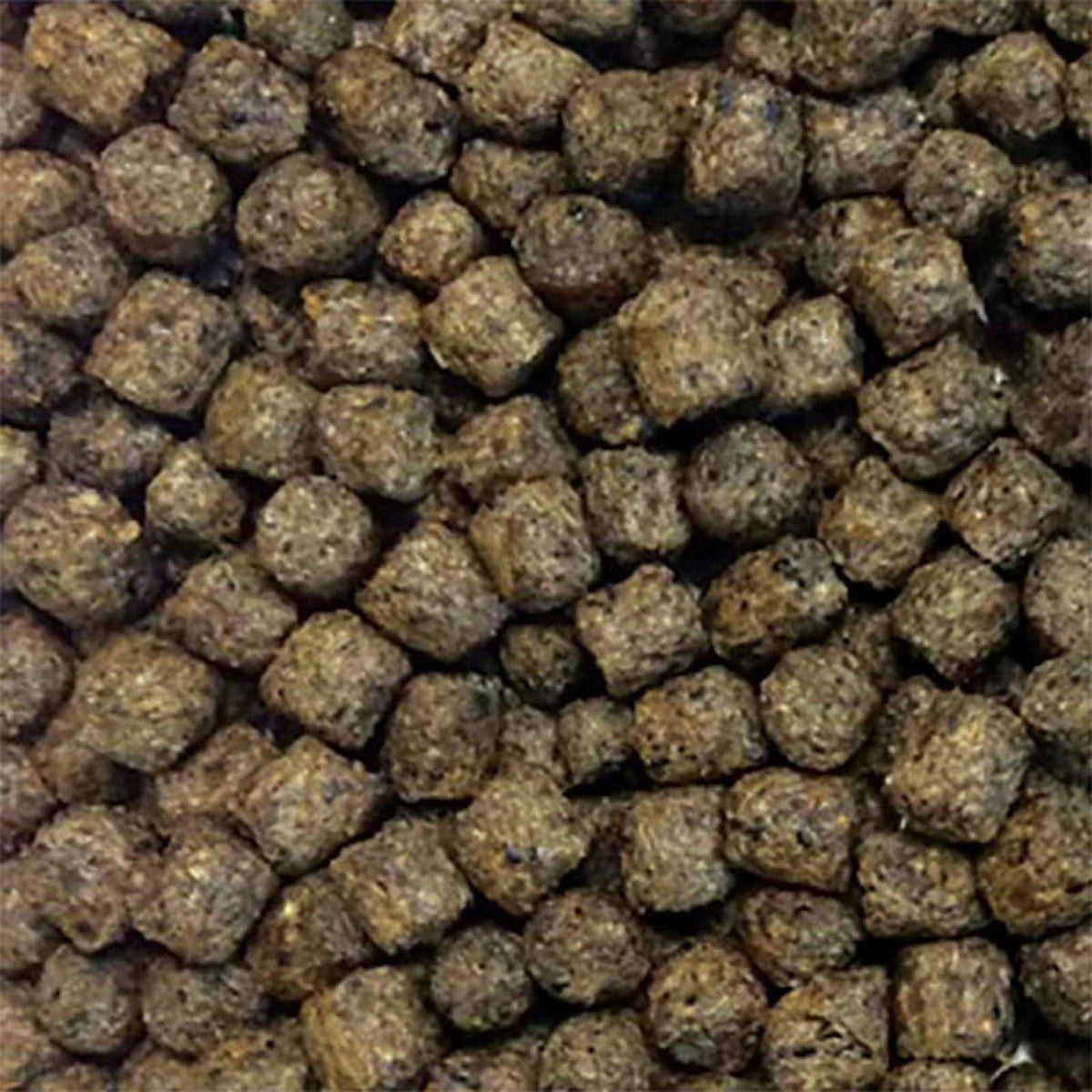 Staple Fish Food C5036