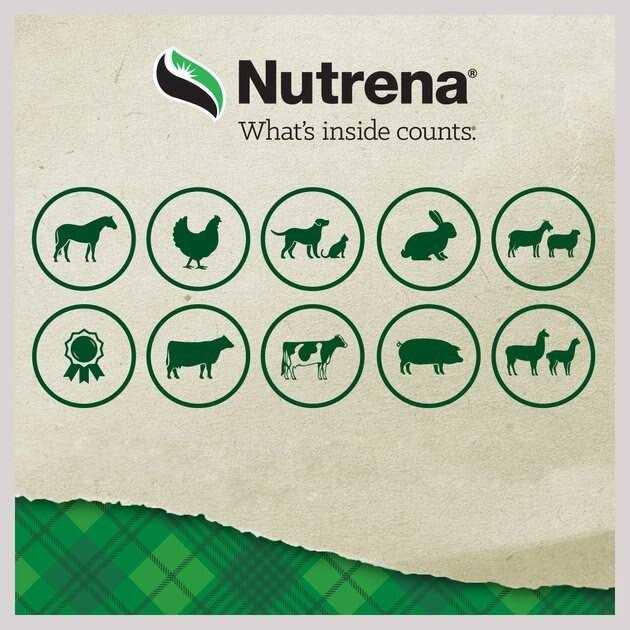 15% Premium Rabbit Feed Y858041
