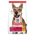 Adult Chicken & Barley Dry Dog Food J704