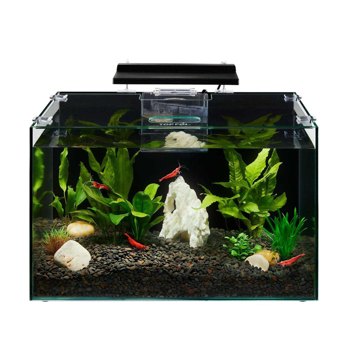 Aquarium R899148