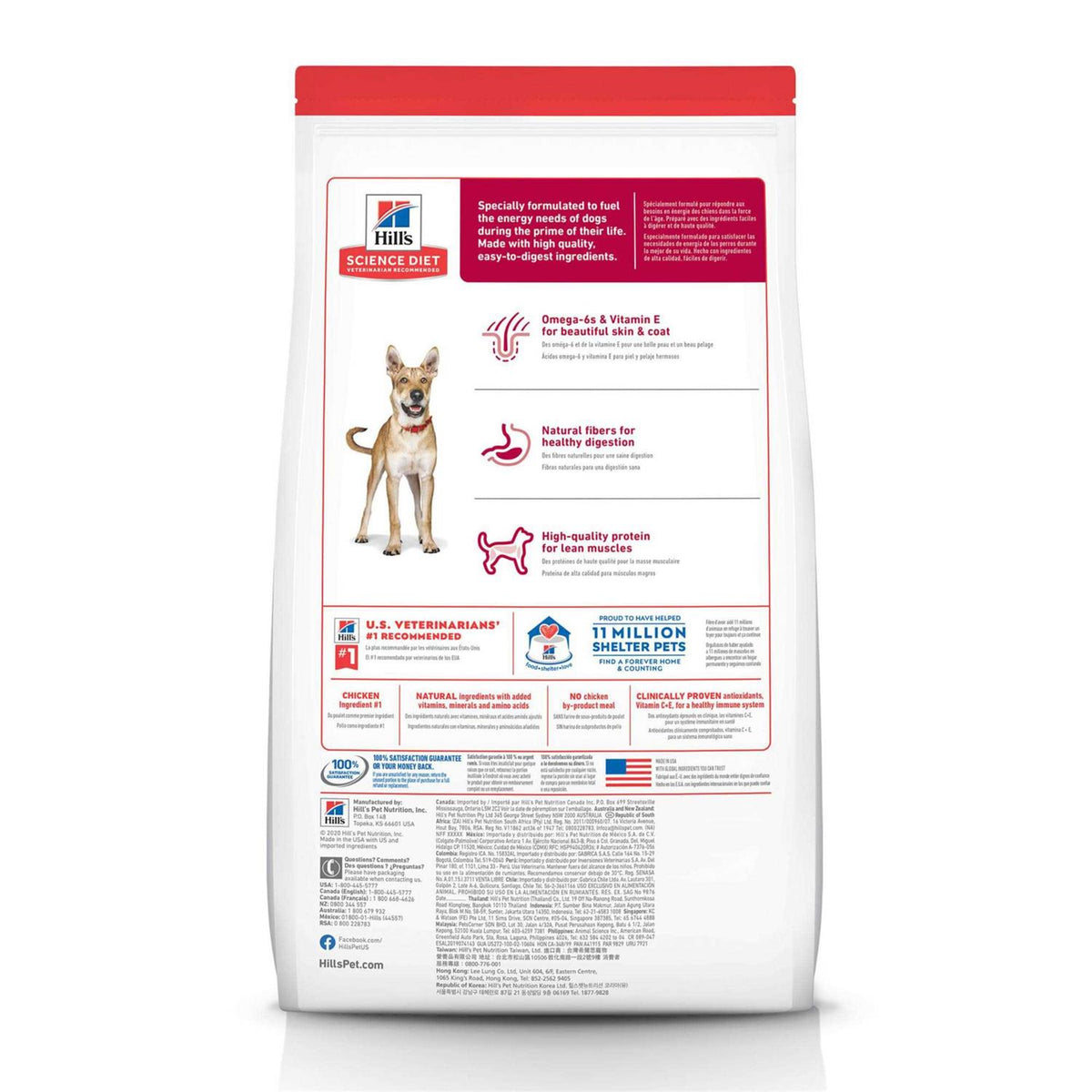 Adult Chicken & Barley Dry Dog Food J704