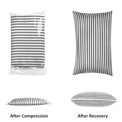 King Size Down Alternative Microfiber Pillows 2 Pack R1029