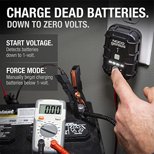 1A 6V and 12V Smart Car Battery Charger I998349