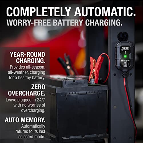 1A 6V and 12V Smart Car Battery Charger I998349