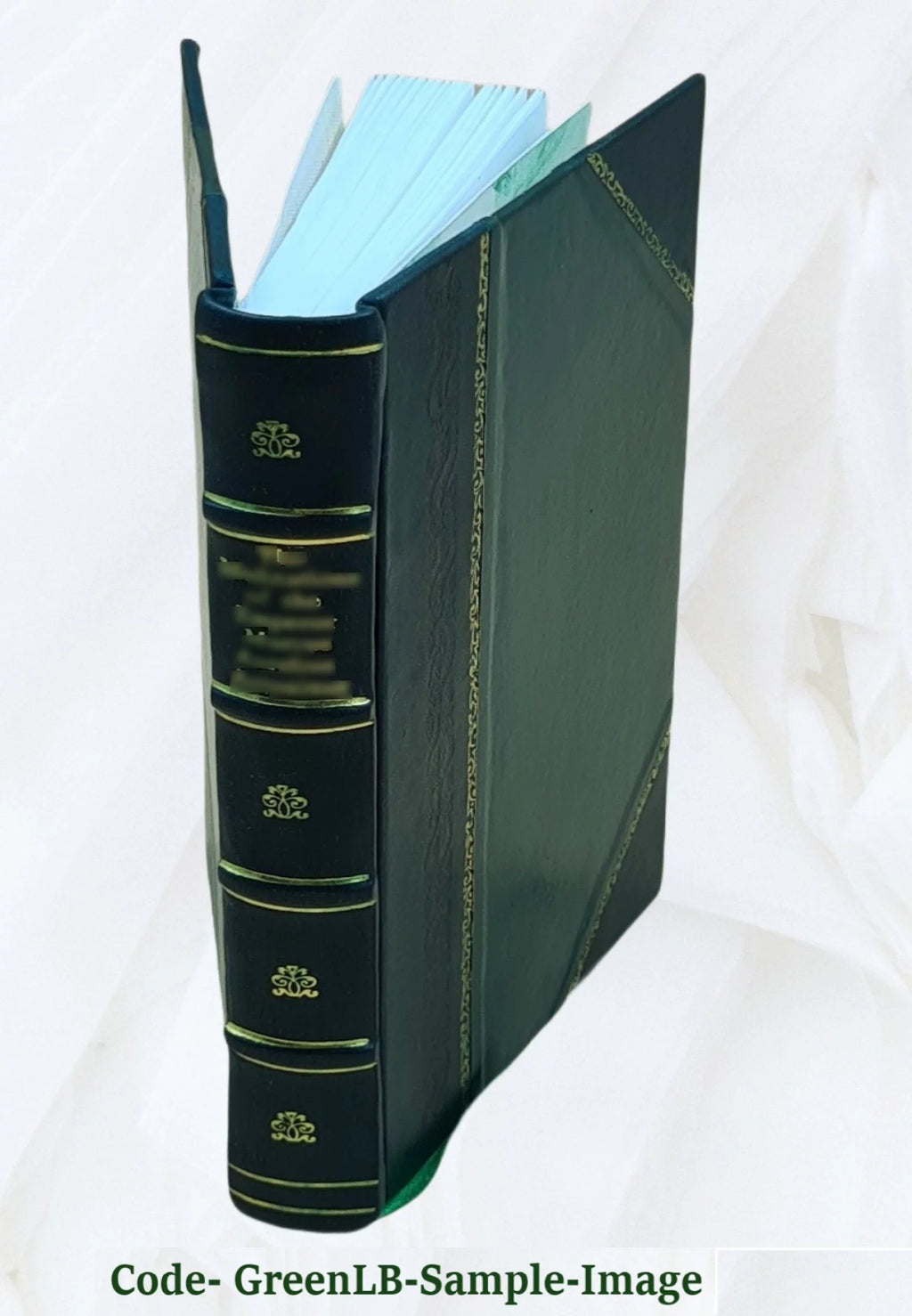 Bürgers Gedichte Leather Bound W3485